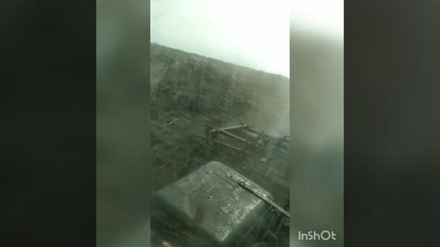 боронование подсолнуха смотреть онлайн