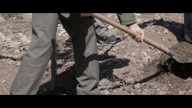 Le Petit Olivier, partenaire de l'ONF смотреть онлайн