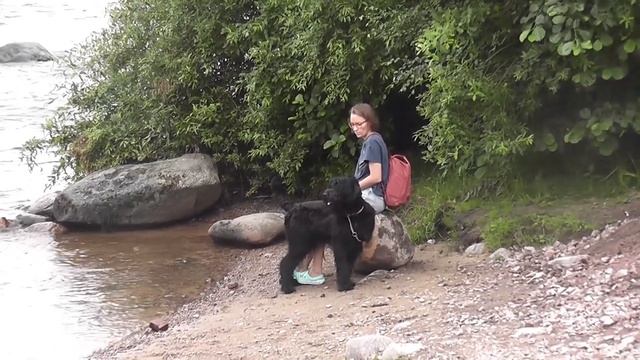 Карельский перешеек. Лосево смотреть онлайн