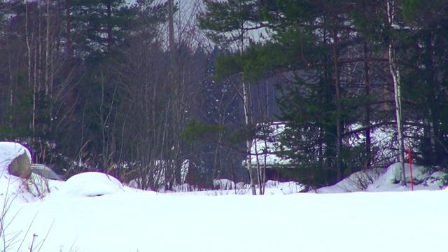 JMK-Ralli 2016, Jämsä смотреть онлайн