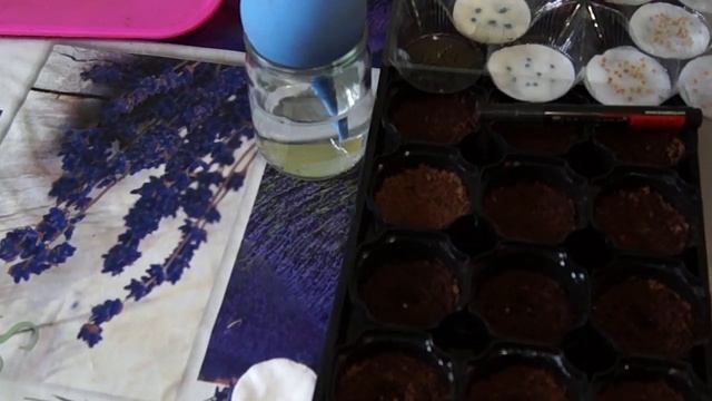 СЕЕМ БАКЛАЖАНЫ ПАРТНЕР смотреть онлайн