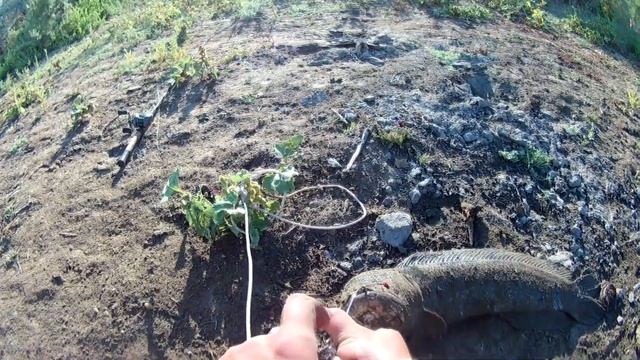 ТРОФЕЙНАЯ РЫБАЛКА НА ЗМЕЕГОЛОВА / ЛОВЛЯ НА СПИННИНГ смотреть онлайн