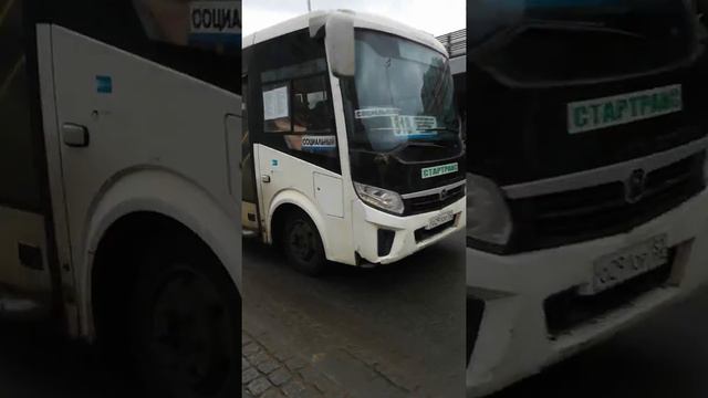 Автобус паз вектор некст с маршрутом 818 смотреть онлайн
