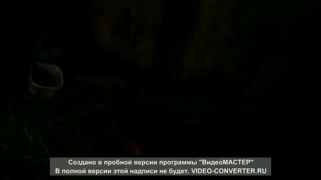 кролик прыгает на стену смотреть онлайн