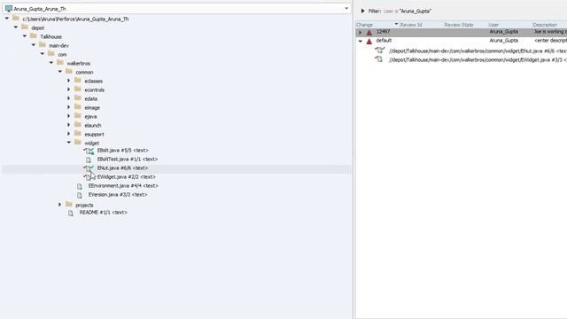 Basic Operations in P4V смотреть онлайн