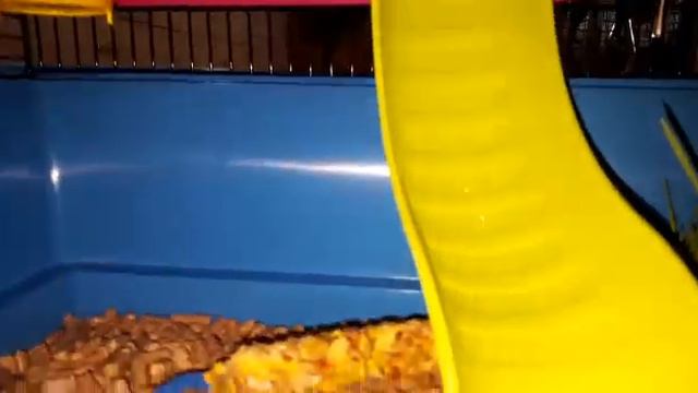 Клетка для хомяка