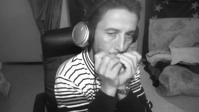 je joue de l'harmonica sur toute les femme son belle de franc mickael смотреть онлайн