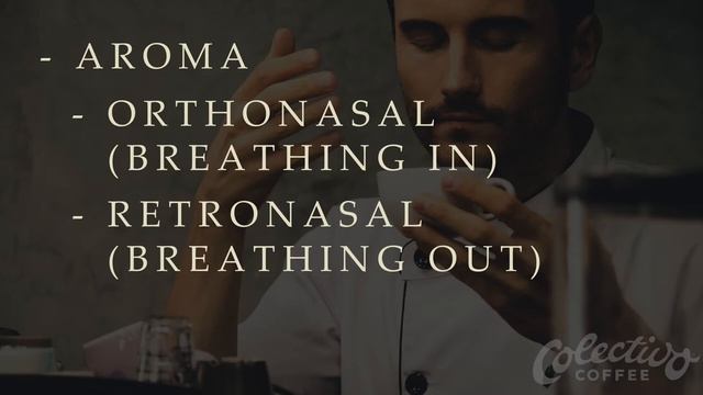 How To Taste Espresso смотреть онлайн