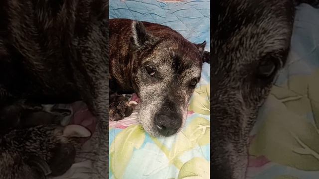 Какой сегодня день?#s смотреть онлайн