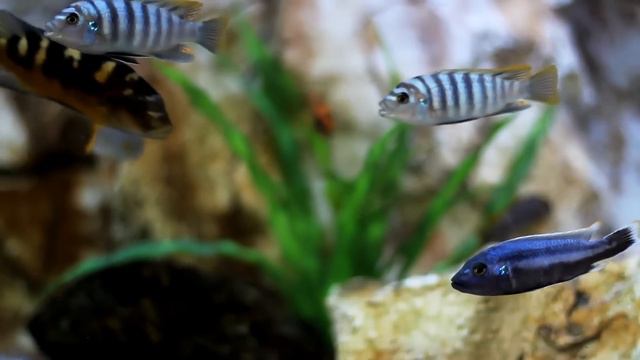 Smooth Jazz Weekend Music • Smooth Jazz Saxophone Instrumental Music For Enjoying Your Weekend!