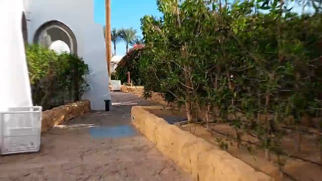 Шарм Эль Шейх Египет Domina Coral Bay Отдых в Египте