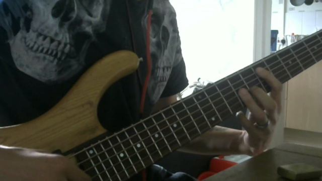 asking alexandria alone in a room acoustic bass cover смотреть онлайн