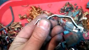 МЕДЬ. ГДЕ НАЙТИ МЕДЬ? МЕДНАЯ КОПИЛКА. ИТОГИ СБОРА ЗА 2021 год