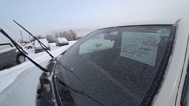 Авторынок Хабаровск. Цены. Наши дни. смотреть онлайн