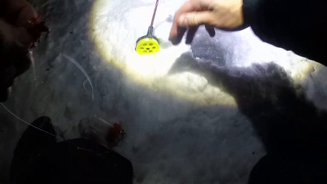 Попали в рыбу! КОМБАЙНЫ КОСИЛИ ВСЮ НОЧЬ!!! Обь. Рыбалка в черте города. смотреть онлайн