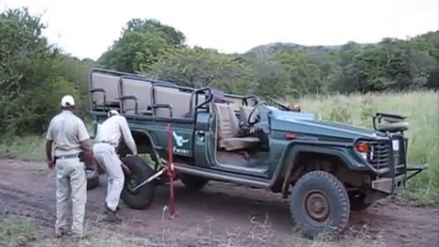 Hippo & flat tire @ Phinda Private Game Reserve смотреть онлайн