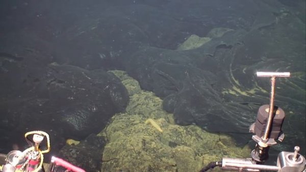 ROV Jason explores underwater volcano Axial Seamount