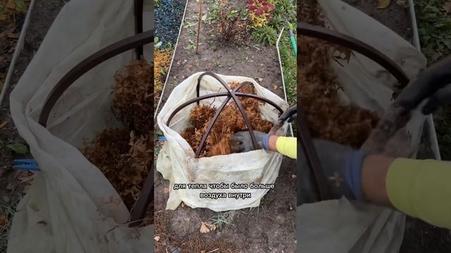 Укрыл динозавра смотреть онлайн