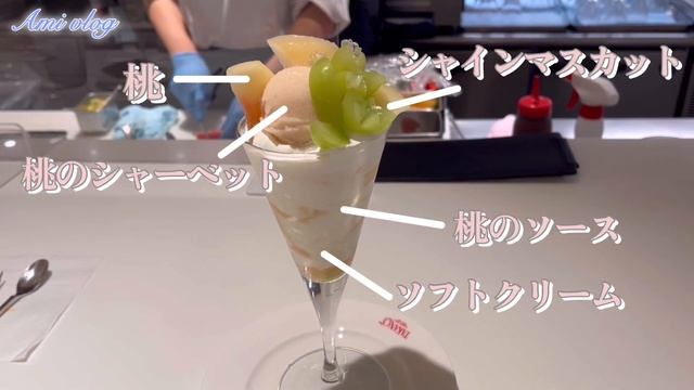 【vlog】友人とカフェ巡りする20代社会人の休日/高野フルーツパーラーパフェリオ本店/東京立川おすすめカフェ/和食夜ごはん作り