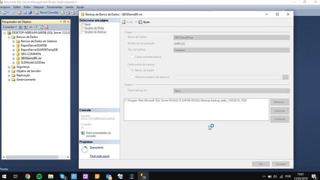Realizar Backup banco de dados SQL смотреть онлайн