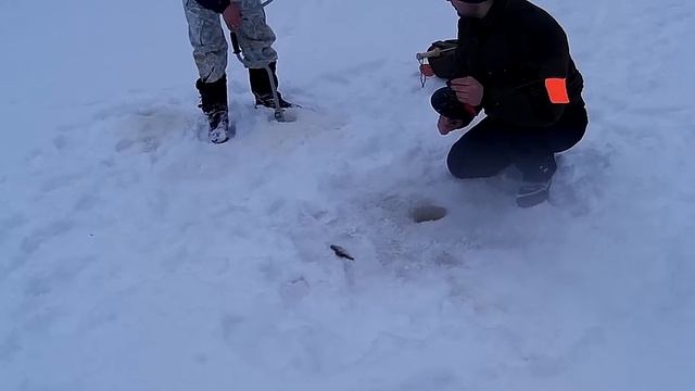 "Горе" рыбаки.. Рыбалка в Вологодской области, в глухозимье... смотреть онлайн