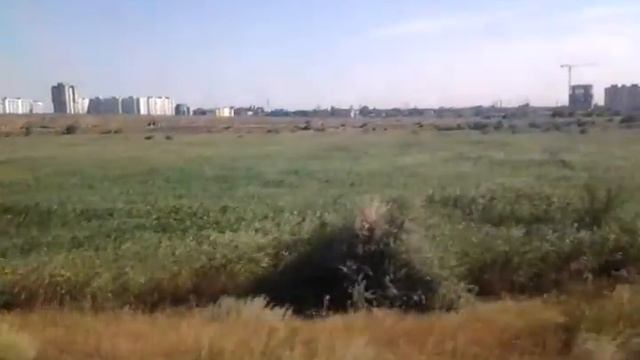 Поезд 471М | отправление со ст. Ростов-Главный смотреть онлайн