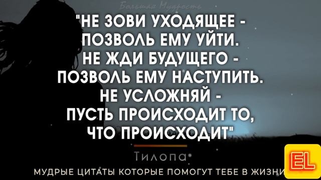Мудрые цитаты смотреть онлайн