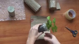 Как упаковать растение для пересылки. Упаковка растений для пересылки и перевозки.