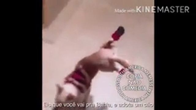 Capoeira смотреть онлайн