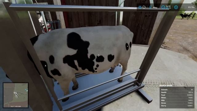 Not Your Average Hoof Trimmer!!! (FS22 Hay Farm Series) смотреть онлайн
