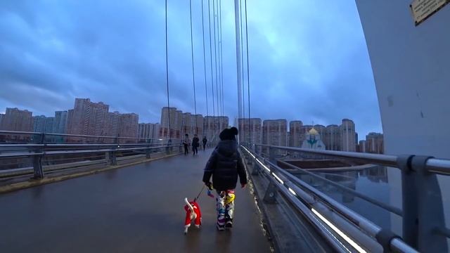 МЫ ДОМА! КАК ЛАКИ НАС ВСТРЕТИЛ!! АМИНА И КАМИЛЬ ПРИЕХАЛИ В ГОСТИ И ПРИВЕЗЛИ ГАББИ РЕАКЦИЯ СОБАК! смотреть онлайн