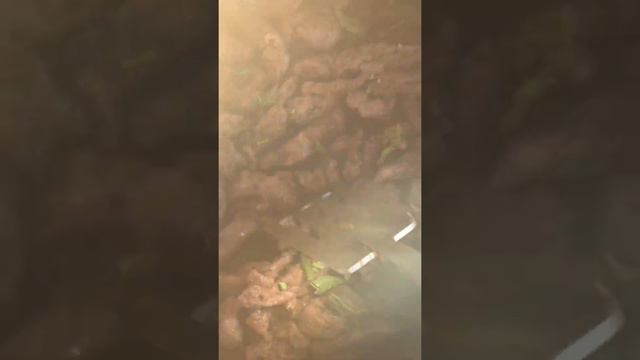 Зачем мне солнце Монако 2 смотреть онлайн