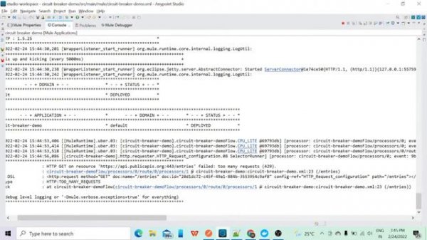 Mule 4 | Circuit Breaker