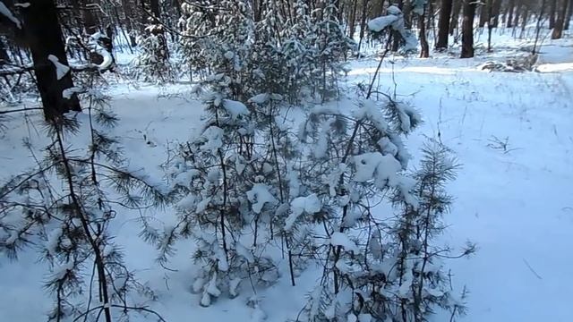 Значение имени Татьяна . Судьба и характер . Тайна имени.Типичная судьба Тани... смотреть онлайн