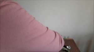 Уход за педилантусом. Обрезка и пересадка.