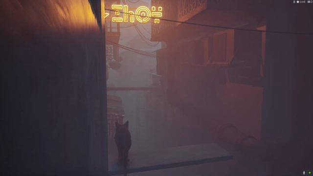 играю в stray на компе на виндовс 7 смотреть онлайн