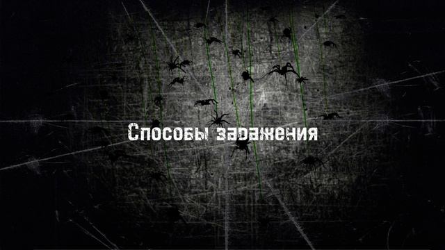 Дело Паучихи