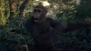 кэшзло перезалив 3