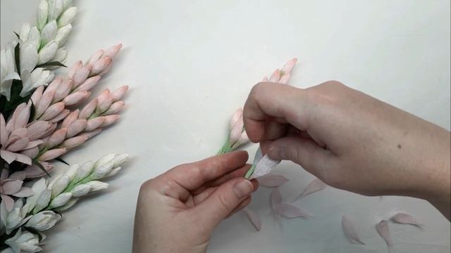 Тубероза - "королева ночи" смотреть онлайн