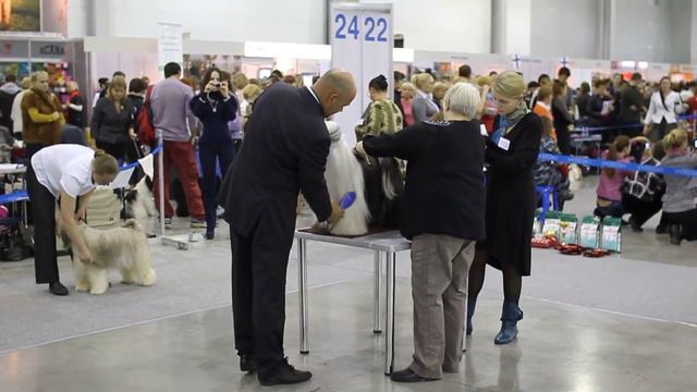 Интернациональная Выставка Собак "РОССИЯ 2011" - Пикассо смотреть онлайн