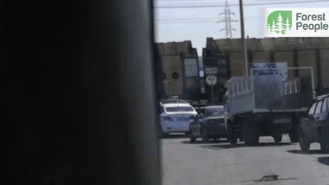 Незаконная вырубка лесов в РФ. Во всем виноват Китай.