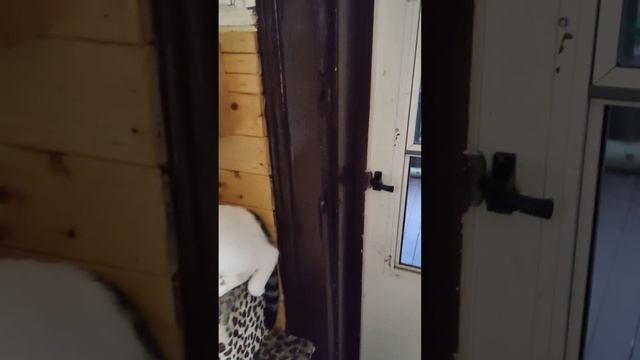 Простой способ или "отмочка" :)/какое русское tv у нас/томится капустка а не свеколка:) смотреть онлайн