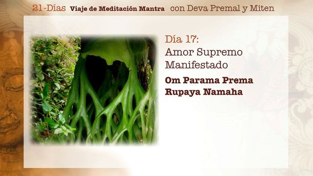 Deva Premal y Miten: 21-Días Viaje de Meditación Mantra - Día 17 смотреть онлайн