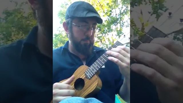 Super Mario Brothers - ukulele смотреть онлайн
