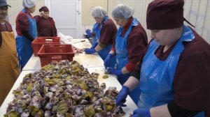 Как очищают утиный желудок от плёнки на производстве