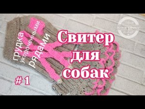 Свитер для собаки, росток , вязание спицами, часть 1