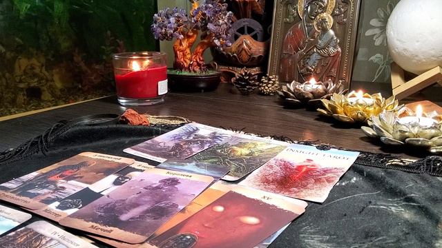 ПОДСКАЗКИ НА ВАШЕМ ПУТИ #оракул#siraya