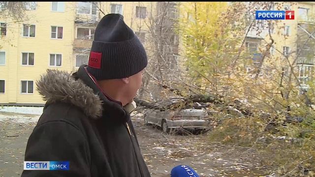 В Омске на 2-ой Поселковой дерево привело автомобиль в негодность смотреть онлайн