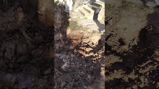 Как убрать большой пень смотреть онлайн