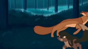 коты воители Ежевика и Коршун  ?